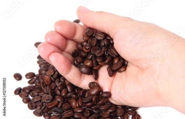 Fototapeta Coffee beans in hand