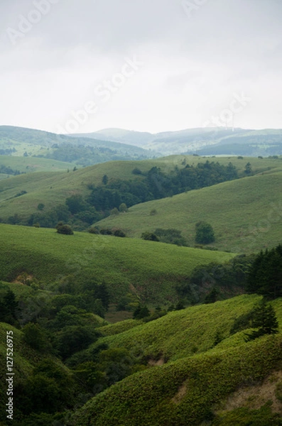 Fototapeta 深い山々