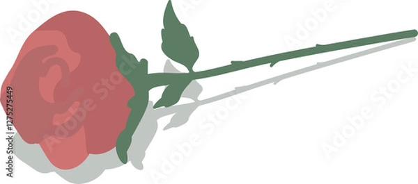 Fototapeta hand drawn vector illustration of single rose