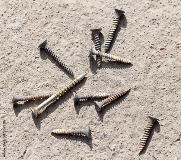 Obraz screw on the ground. macro