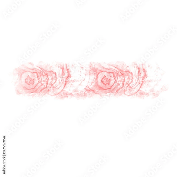 Obraz pink roses border