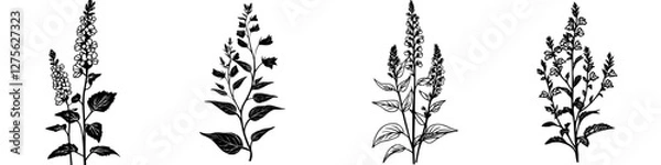 Fototapeta wheat ears vector