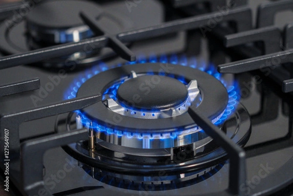 Obraz Large gas burner