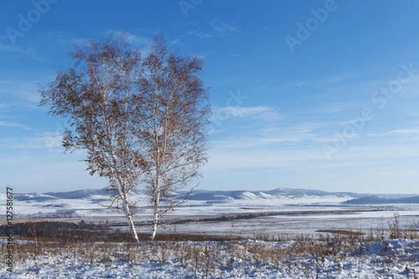 Obraz winter landscape in Siberia