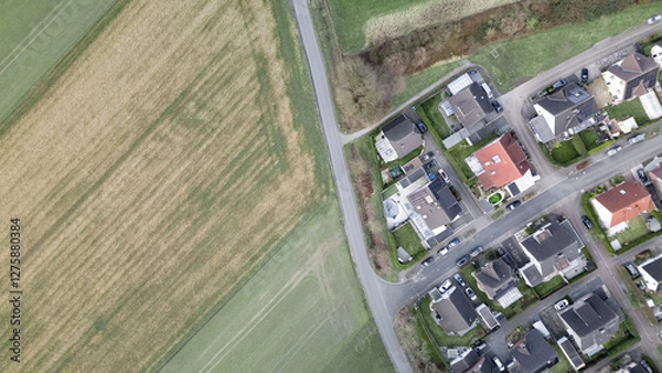 Fototapeta Aerial top-down view of a rural landscape with a paved road separating agricultural fields and a suburban residential area. A contrast between nature and urban development, showing farmland, houses, a