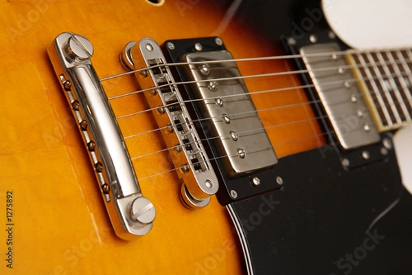 Obraz electric guitar