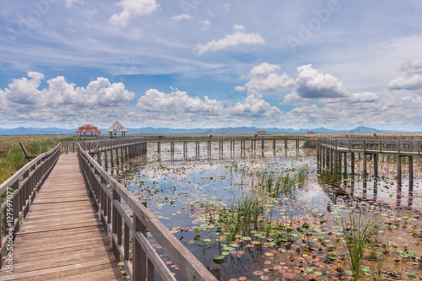 Fototapeta A fragile ecosystem