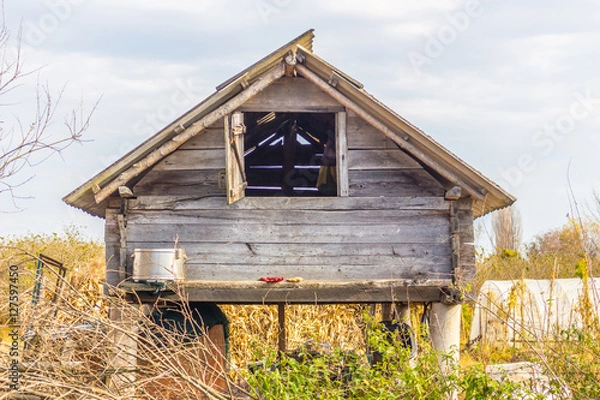 Fototapeta Rustic wood shack on stilts in the fall field with dry grass and blue sky background 