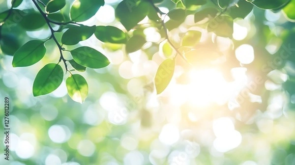 Fototapeta Sunlit Green Leaves and Bokeh Background