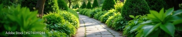 Fototapeta A winding stone path through a garden filled with lush greenery, calm, pathway