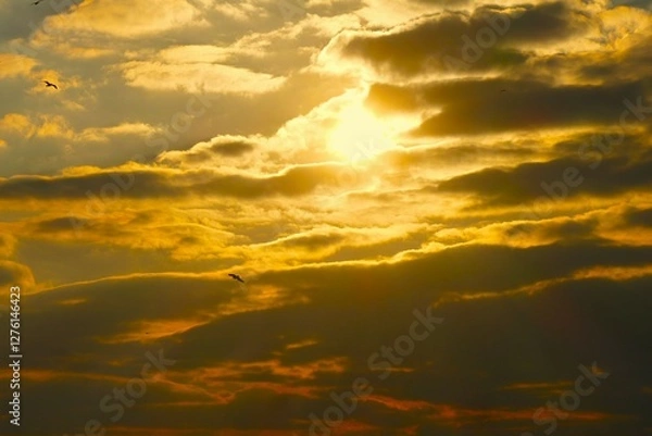 Fototapeta Dramatic clouds in colorful sunset with flaying birds