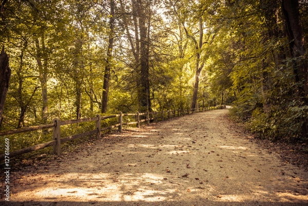 Obraz First person view of dirt path in forest