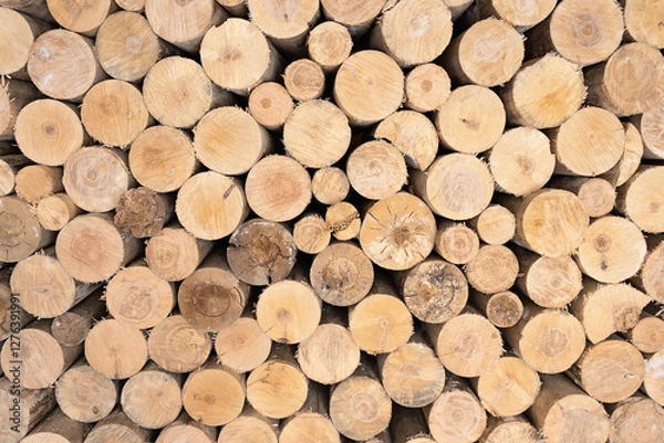 Obraz Natural wooden background, made of sawn logs stacked with a round end.