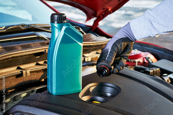 Fototapeta Filling engine oil in modern car. Winter service for safe driving.