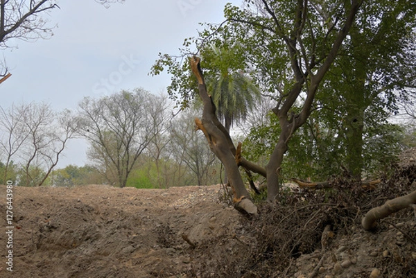 Fototapeta A landscape features an eroded, sandy terrain with sparse vegetation.