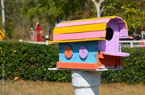 Obraz Bird house