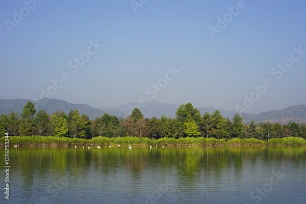 Fototapeta Beautiful nature. Green trees and bright blue sky. Suitable for a background