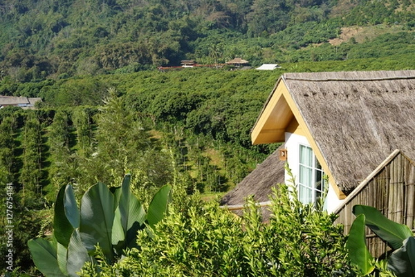 Obraz The house among mountain background
