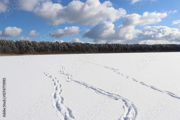 Obraz Winter landscape with snow