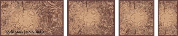 Fototapeta Decorative Wood Cross-Section Vector Textures – Nature-Inspired Backgrounds
