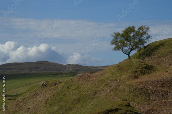 Obraz Island of Skye landscape