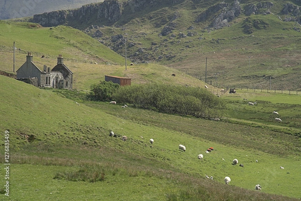Obraz Island of Skye landscape