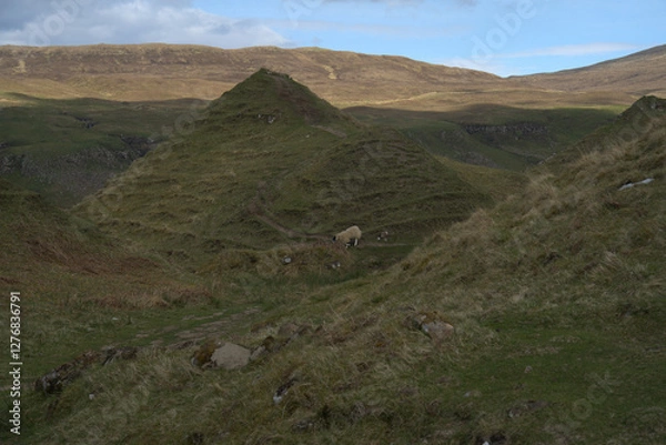 Obraz Island of Skye landscape