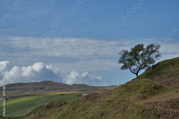 Obraz Island of Skye landscape