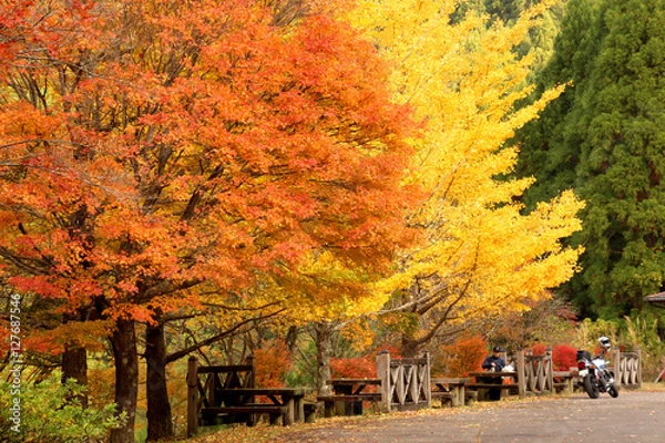 Obraz 高ノ瀬峡　秋