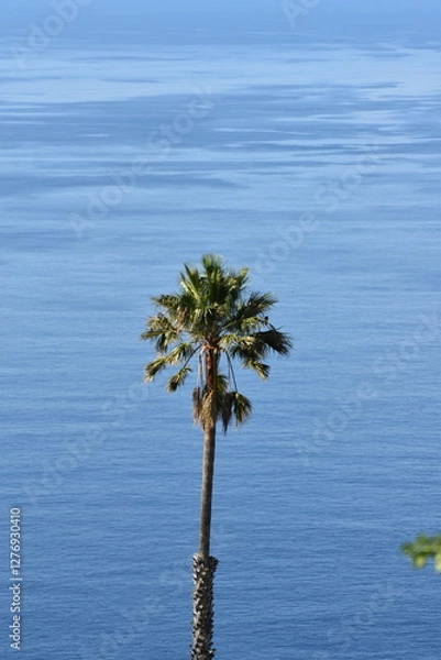 Fototapeta tree on the water
