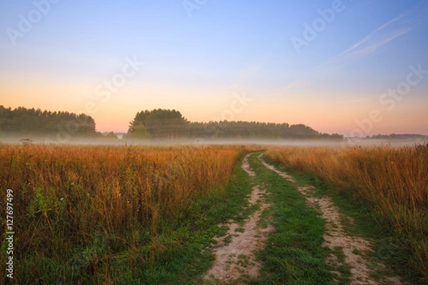 Fototapeta Dawn early morning in the suburbs. Road through the field.
