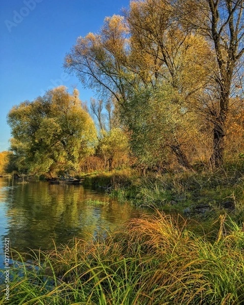 Fototapeta fall on riverbank