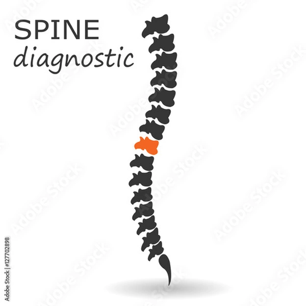 Obraz Vector illustration spine diagnostic symbol. Diagnostic center