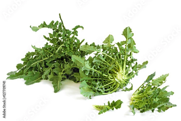 Obraz broccolo fiolaro - isolato