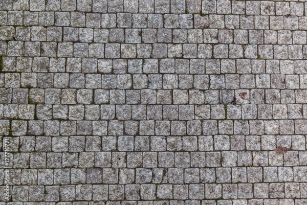 Obraz Brick old pavement path