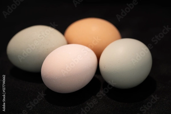 Obraz Chicken eggs close up on black