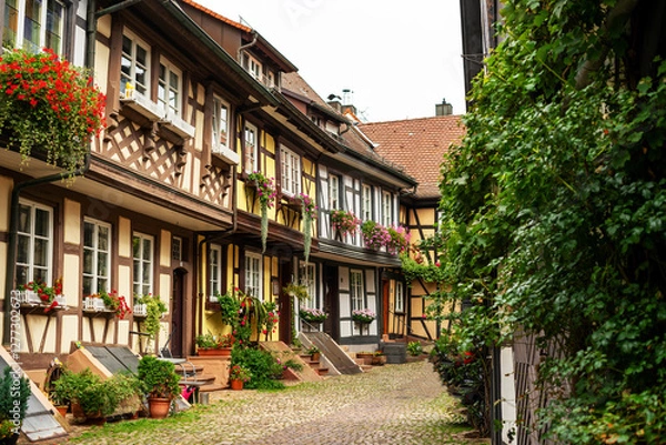 Obraz German colorful facade with plants