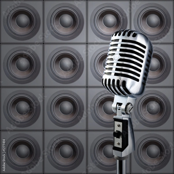 Obraz mike&speakers