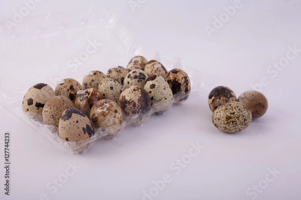 Fototapeta object isolated white