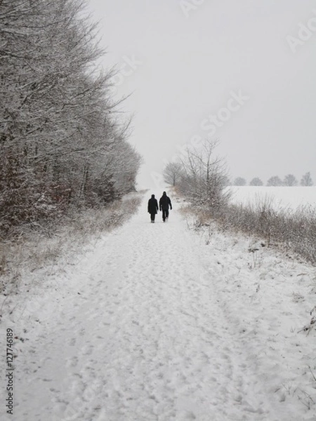 Obraz Winterwalk, couple