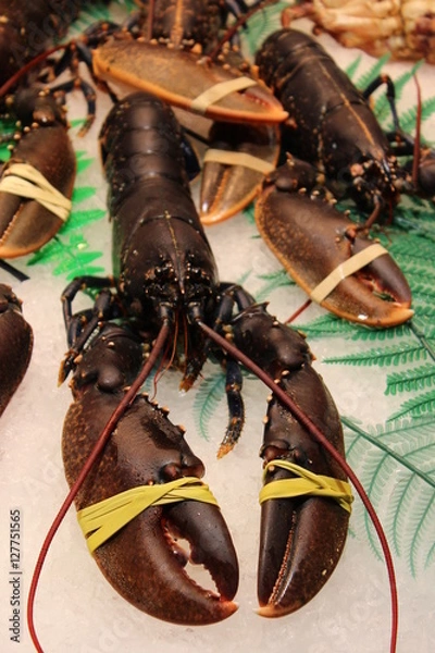 Obraz lobster