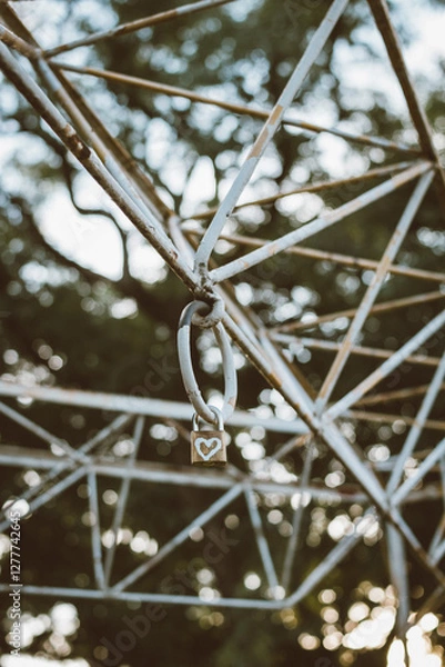 Obraz ice on the branches