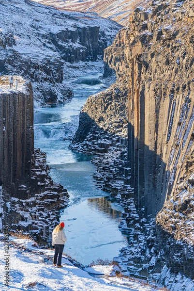 Fototapeta The basalt columns at Studlagil Canyon, at the east region of Iceland, winter time.