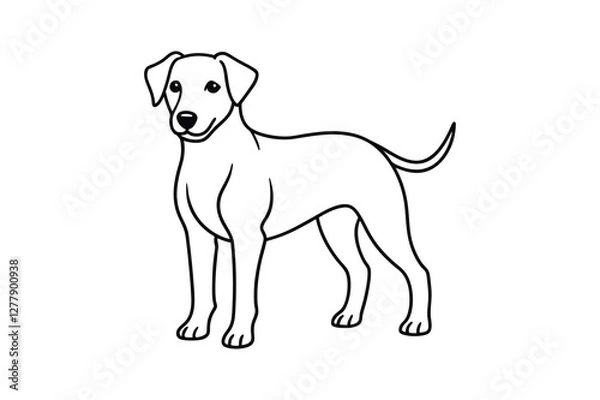 Fototapeta  Cute puppy line art vector Drawing Illustration