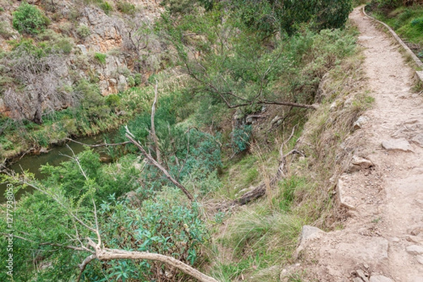 Fototapeta stone path in the forest
