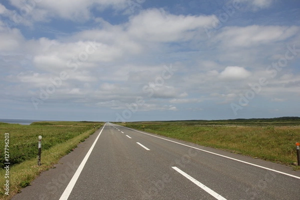 Fototapeta オロロンライン(北海道)