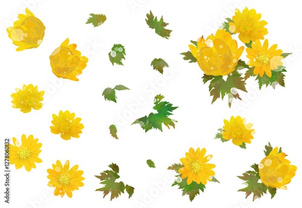 Fototapeta 福寿草のイラスト素材セット（玉ボケ的表現有り）