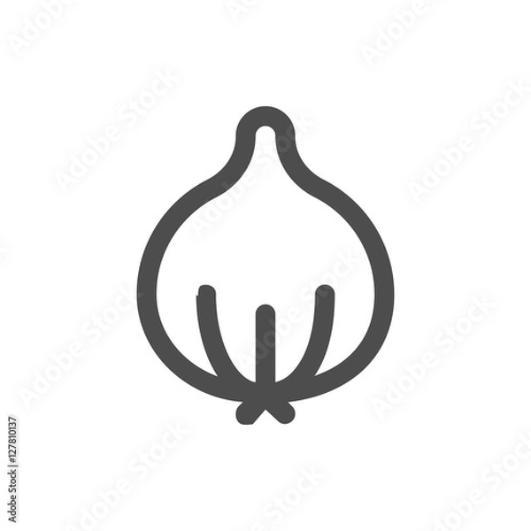 Fototapeta vector onion linear icon symbol
