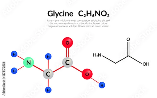 Fototapeta Glycine (symbol Gly) C2H5NO2 amino acid, molecular structural chemical formula, ball-and-stick model, suitable for education or chemistry science content. Vector illustration
