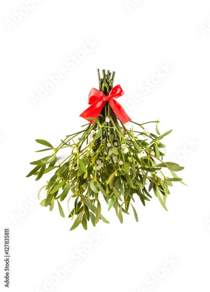 Obraz Broom from green mistletoe 